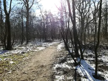 De Panne in de sneeuw (België)